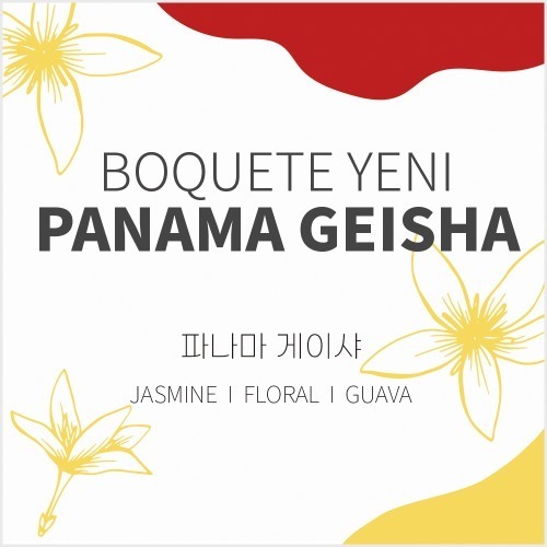 파나마  게이샤 200g 공동구매
